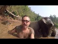 Thai Elephant Sanctuary - Chiang Mai