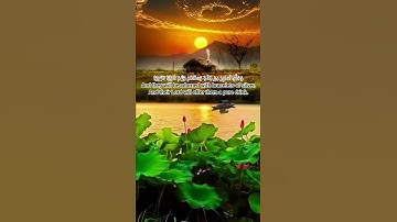 سورة الإنسان من الآية (٢٠) إلي الآية (٢٢) بصوت القارئ إسلام صبحي