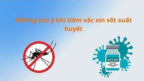 Những lưu ý khi tiêm vắc xin sốt xuất huyết | Báo Lao Động