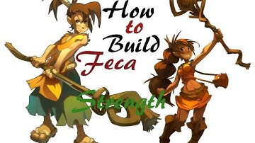 Dofus - How to Build Feca 1 - 200 - Strength