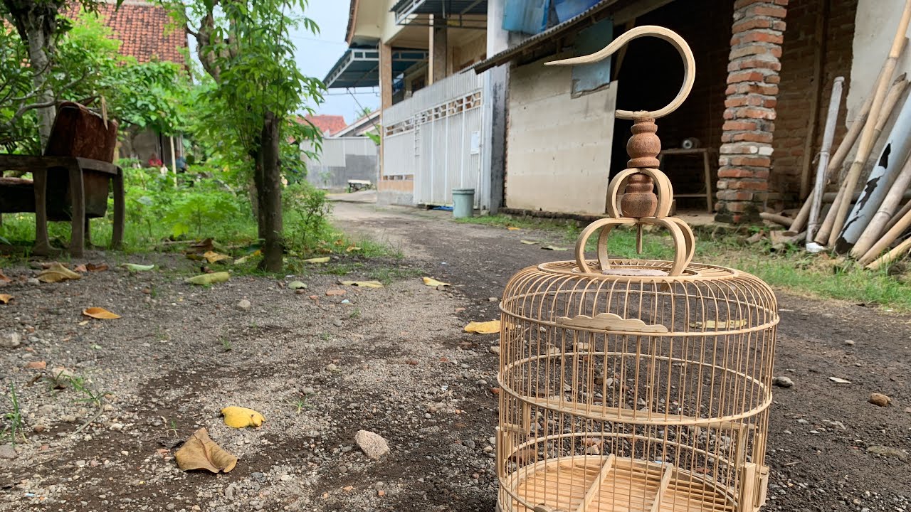 peoses cepat pembutan sangkar untuk pemula