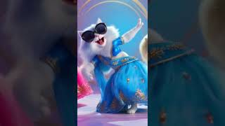 Cat Dance! Funny Billi Dance Shorts 😹 | बिल्ली का डांस