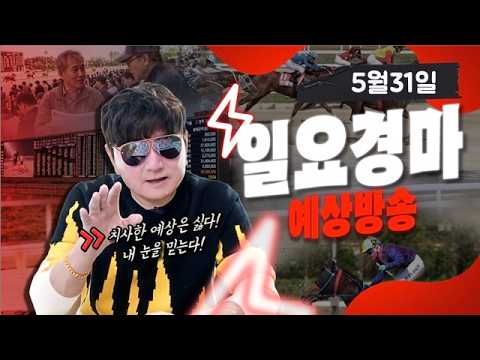 【조철 실전베팅】 5월31일 일요경마 예상방송/ 복병마(W) 공개