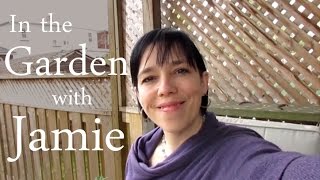 Spring Garden Tour: Jamie Ridler Studios (Early May, Toronto)