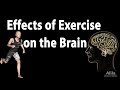 Effects of Exercise on the Brain, Animation