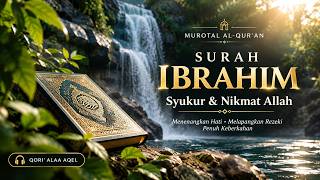Full Murotal Surah Ibrahim | Ayat tentang Syukur & Nikmat Allah | Penenang Hati News