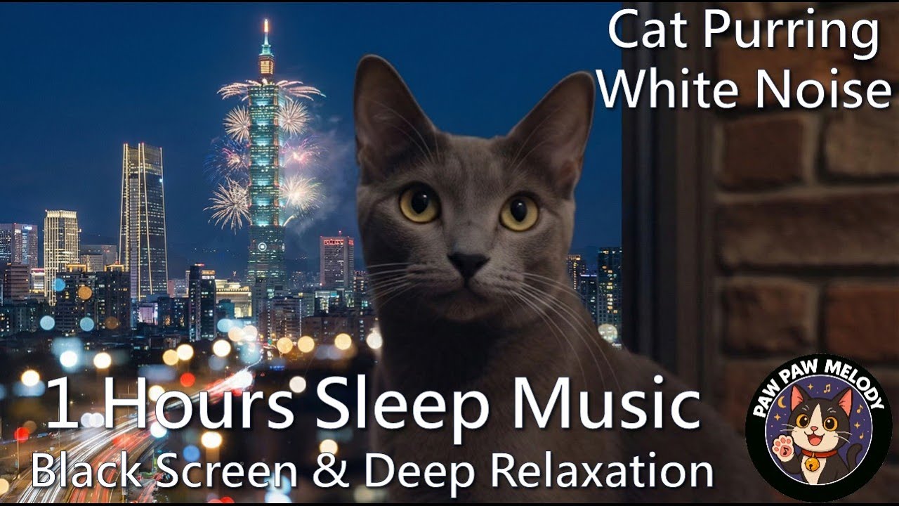 Relaxing Cat Purring 1 hour ASMR white noise (No Loop) 🌙 癒しの猫 睡眠導入 1小時不間斷貓咪呼嚕聲《爪爪音樂》