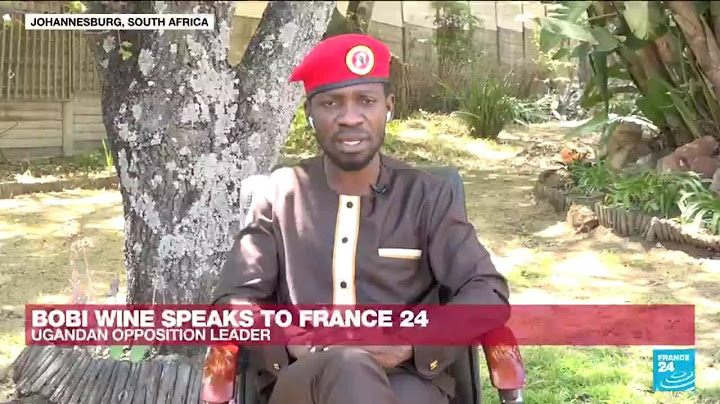 Ugandan opposition leader Bobi Wine speaks to FRANCE 24 • FRANCE 24 English