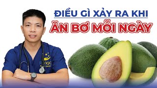 Điều Gì Xảy Ra Khi Bạn Ăn Bơ Mỗi Ngày