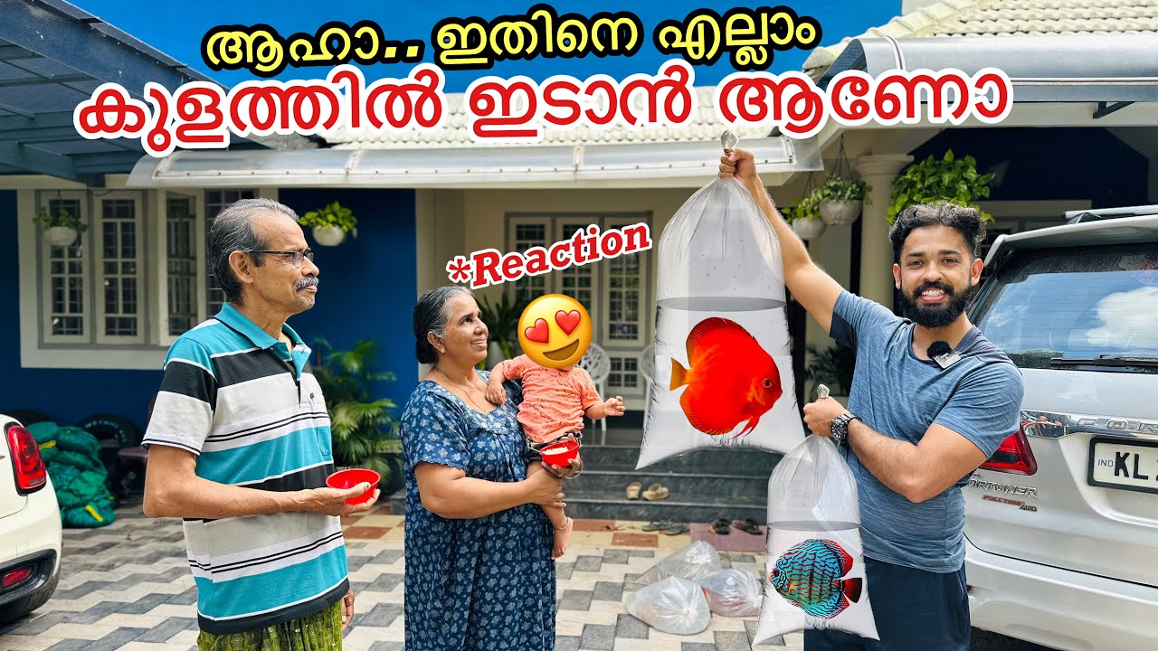 കുളത്തിലേക്ക് വാങ്ങിയ പുതിയ മീനികളെ കണ്ടോ?? | New varieties Of Fishes to our “POND”