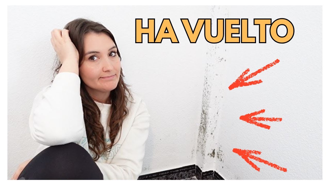 La Humedad Volvió... Limpieza Real de Paredes y Sofá