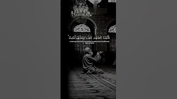 اكتب شئ تؤجر عليه😌♥️/القارئ ياسر الدوسري