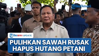 Prabowo Akan Bangun Ulang Sawah Terdampak Banjir & Hapus Utang-utang Petani: Jangan Khawatir