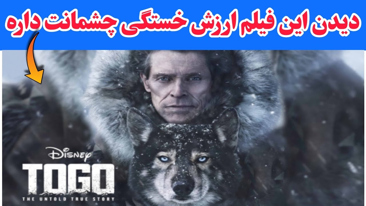 💥نقد و معرفی فیلم توگو:( اینجا خبری از فرش قرمز نیست ) - YouTube