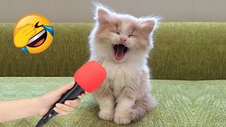 Новые смешные животные 2024 😂 Самые смешные видео о кошках и собаках 😹🐶 Часть 3