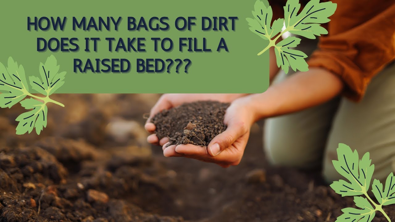 How many bags of dirt does it take to fill up a raised bed? - YouTube