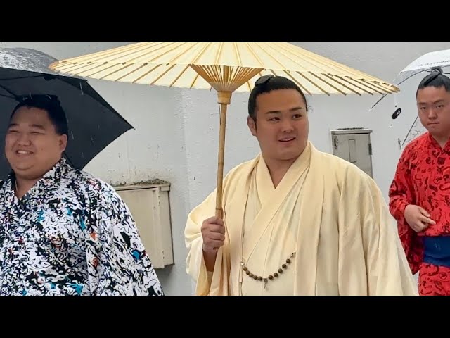 ジャスミンです。佐田の海 朝乃山 YouTube