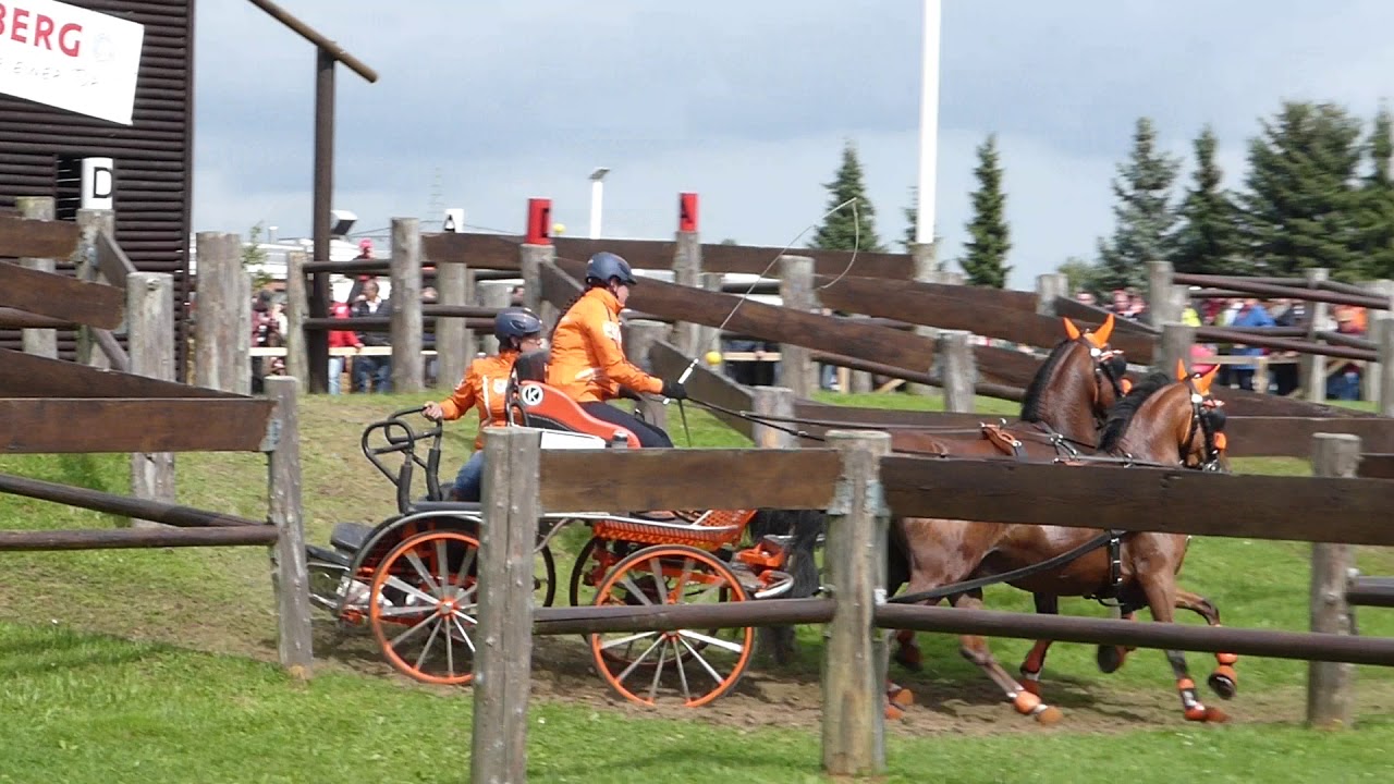 Rutjens, Rodinde, NED, CH M P A1, A 2, A 4, Minden GER, Marathon Pairs Ponies, Ob 7, 19 08 2017