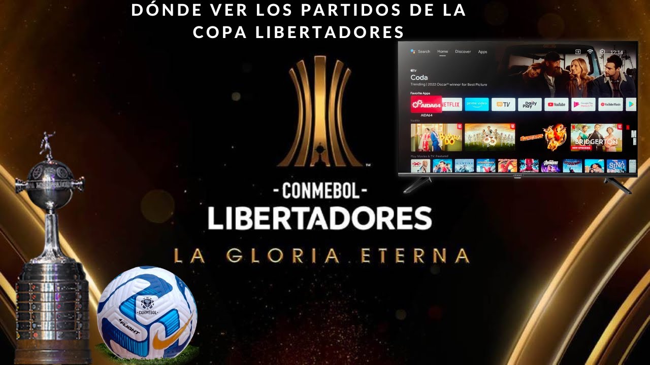 ¿Dónde puedo ver el partido de Copa Libertadores en vivo