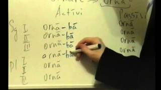 Урок 15. Латинский Imperfectum indicativi.avi Урок 15. Латинский Imperfectum indicativi.avi