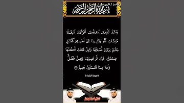 سورة البقرة الآية 265 بصوت الشيخ فارس عباد برواية حفص #القرآن_الكريم #اكسبلور #المصحف #viral