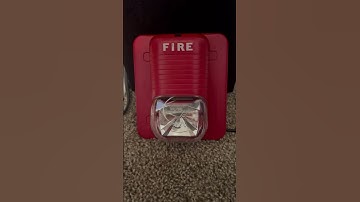 System Sensor Spectralert S241575 Remote Strobe