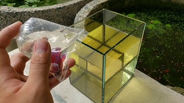 ☆Nuôi cá betta tập 1☆ CHUẨN BỊ NƯỚC [Chia sẻ kinh nghiệm cơ bản]