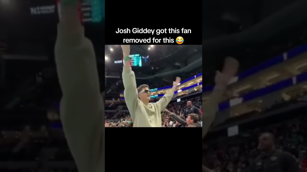This fan triggered Josh Giddey 😂