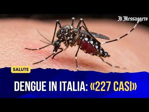 Video Dengue in Italia, 227 casi: cosè, sintomi, contagio e perché può circolare anche da noi