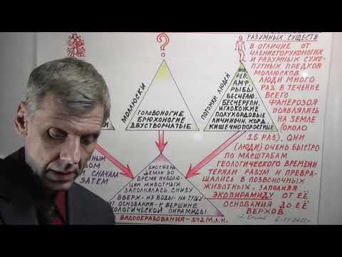 Video: Lumea Psihologiei Moderne.Baturin Nikolay Alekseevich