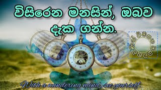 විසිරෙන මනසින්,ඔබව දැක ගන්න.                With a wandering mind, see yourself...       (2023)