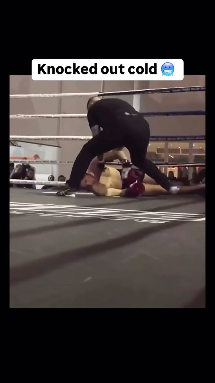 Crazy ? Via - ? (Dm for credit/ removal) #mma #knockout #combatsports