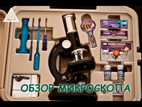 микроскоп школьный eastcolight 100/600/1200x обзор микроскоп школьный eastcolight 100/600/1200x обзор