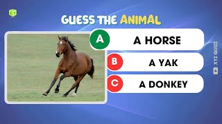 XYZ-QUIZZ| Conquer the ANIMAL KNOWLEDGE Test! GUESS 45 ANIMAL from Easy to Hard