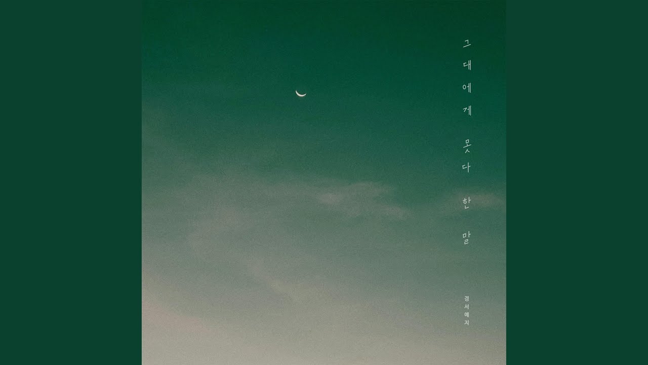 Something I couldn’t say to you (그대에게 못다 한 말)