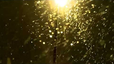 Hiệu Ứng Tuyết Rơi Trong Proshow Product Đẹp 3