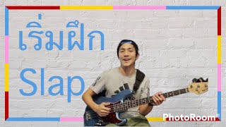 Slap เบส เริ่มฝึกยังไงดี