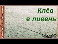 Отличная рыбалка в ливень! Лещ, подуст, плотва. Тест рыболовного зонта