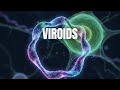 Viroids | Sub-Viral Agents, Properties, and Replication | Learn in 5-Mins