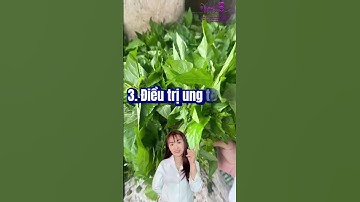 CÔNG DỤNG BẤT NGỜ CỦA CÂY TẦM BÓP #dượcsĩvũtrang #food  | Ds Vũ Trang