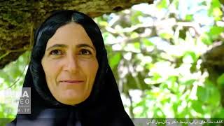 سنت‌های ایرانی به روایت دختر آلمانیِ پیکان‌سوار