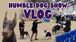 No Ribbons, Just Vibes | Humble Dog Show Vlog
