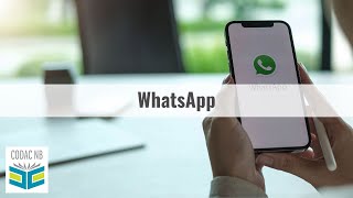 Capsule 7- Whatsapp
