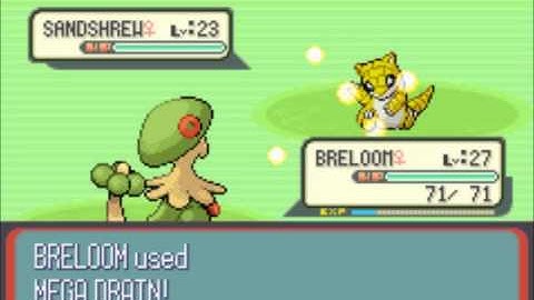 Pokémon Ruby - Part 29