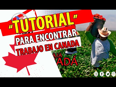 Como Buscar Trabajo En Canada