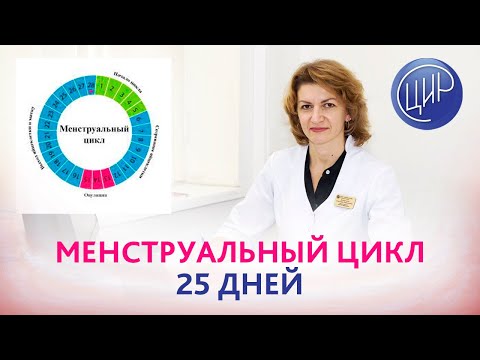 Месячные через 25 дней. Почему укорочен менструальный цикл? Дементьева С.Н.