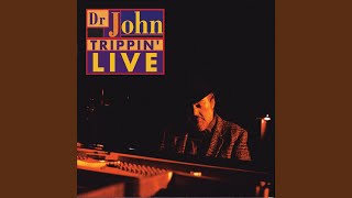 Video voorbeeld van "Dr. John - Such A Night (Live)"