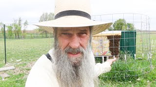 Biggest mistake new Beekeepers make