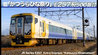 E257系500番台　臨時特急『かつうらひな祭り』2024年　/　JR Series E257-500 Extra express "Katsuura Hinamatsuri" in 2024