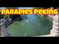 Wie im Paradies und viel los